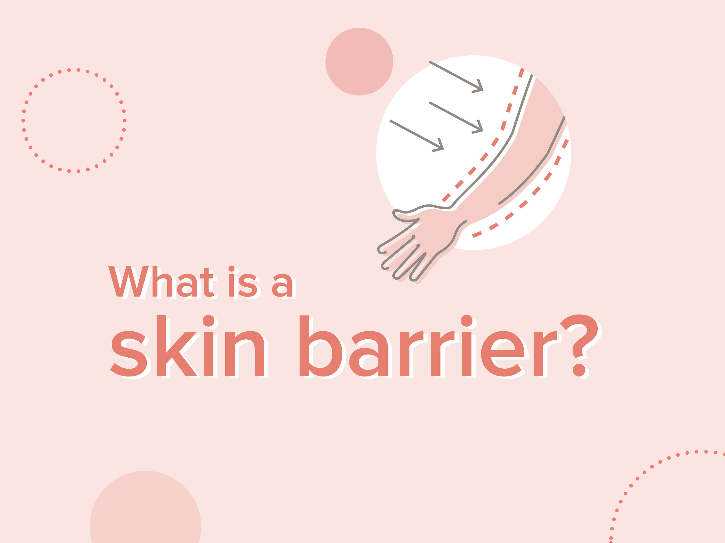 skin barrier