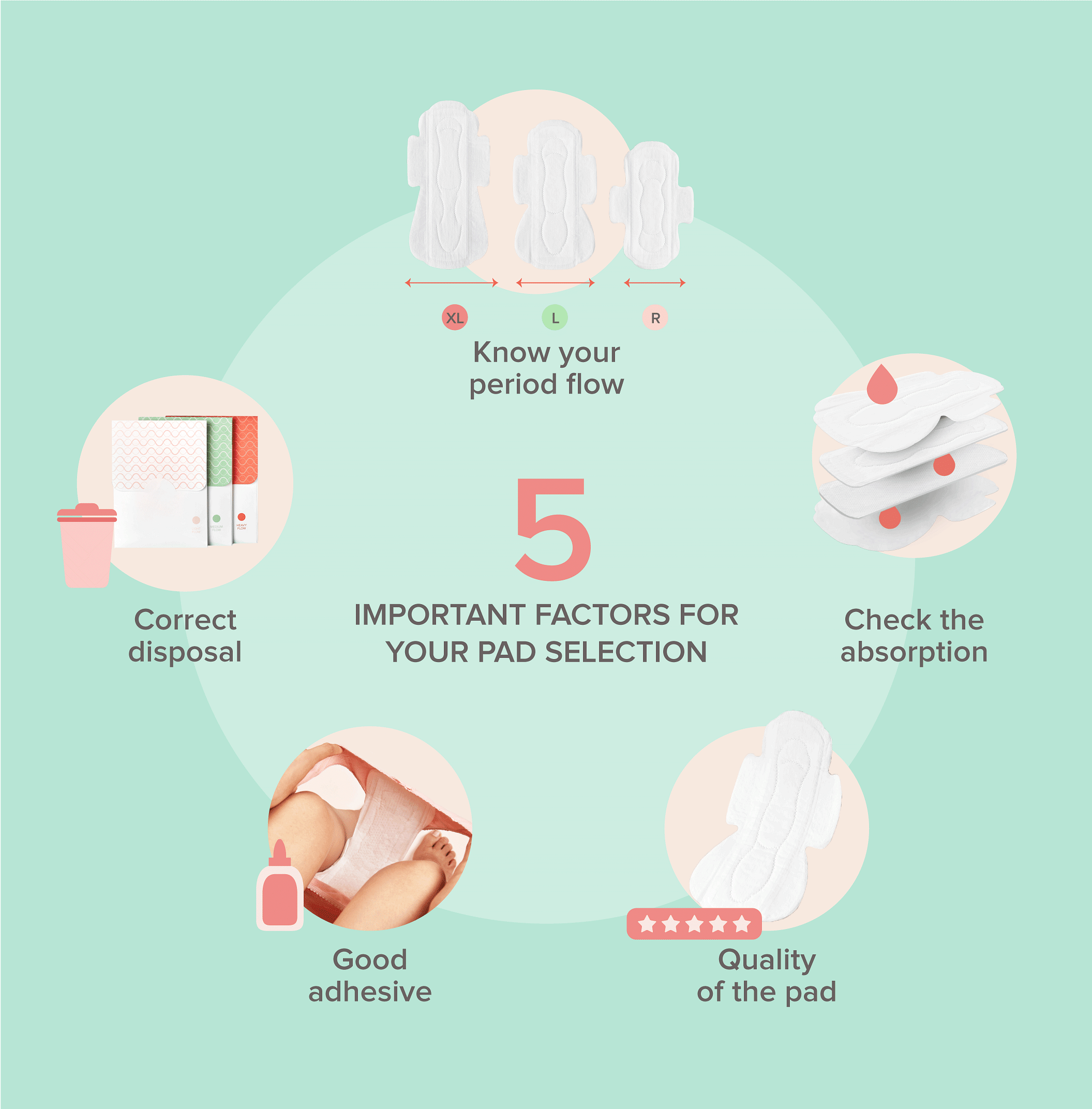 Best Pad for Periods Everything You Need to Know About Sanitary Pads