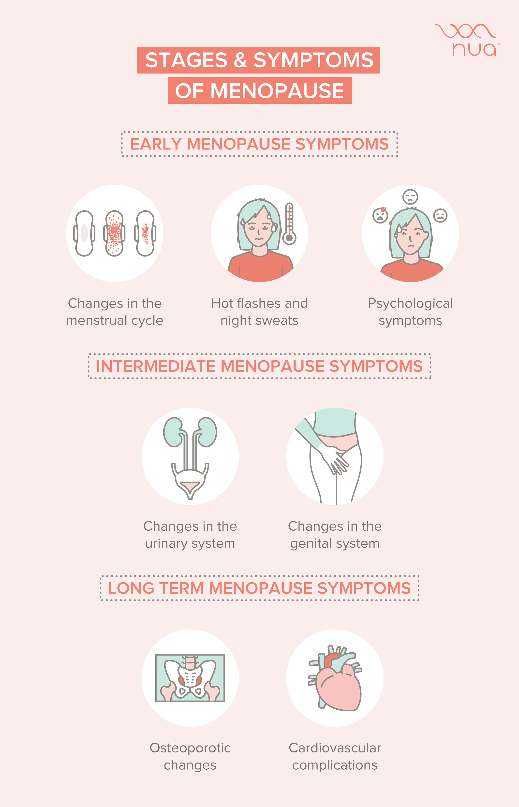 Menopause - stages