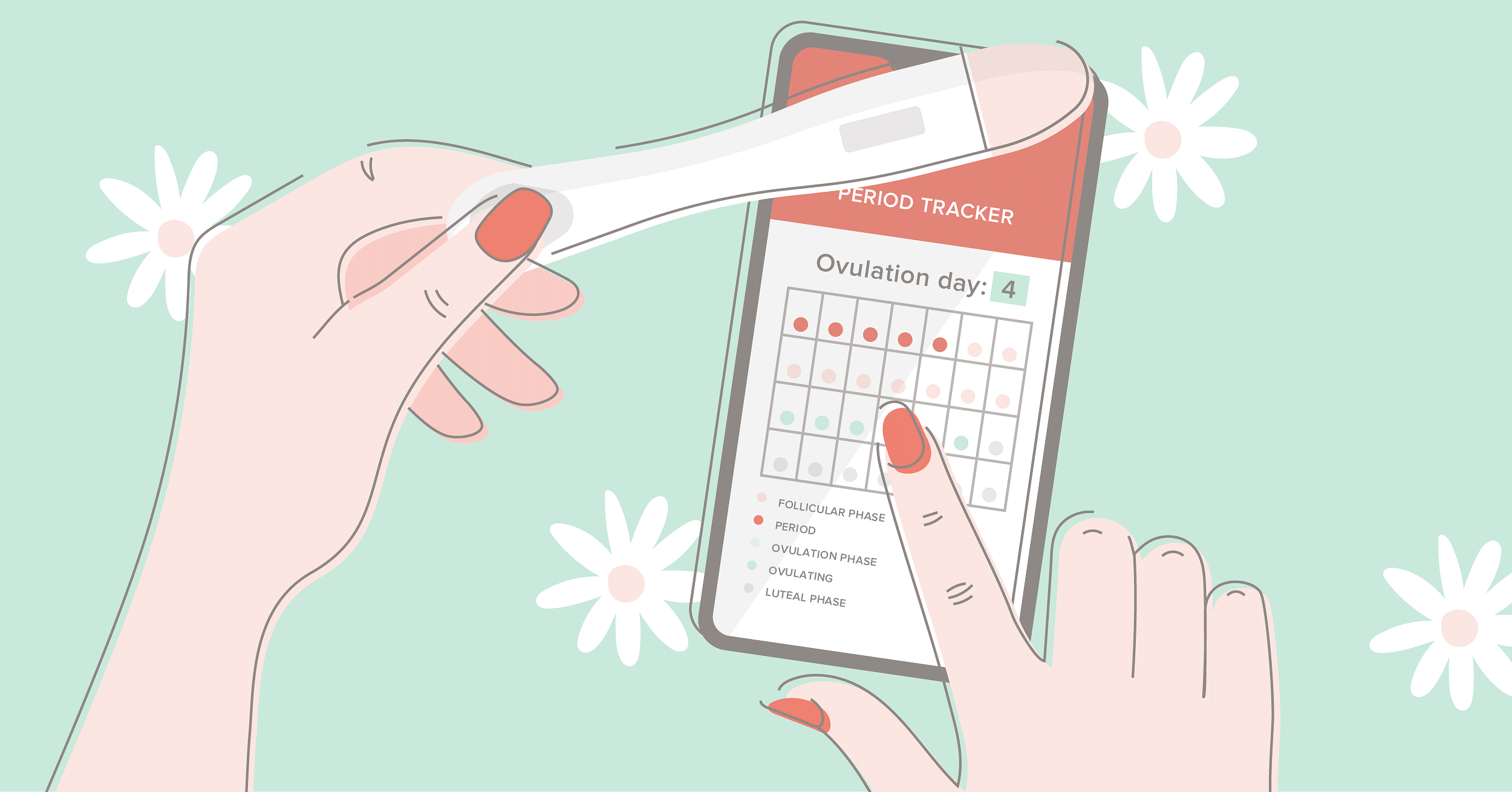 Can tracking your period cycle help you conceive?