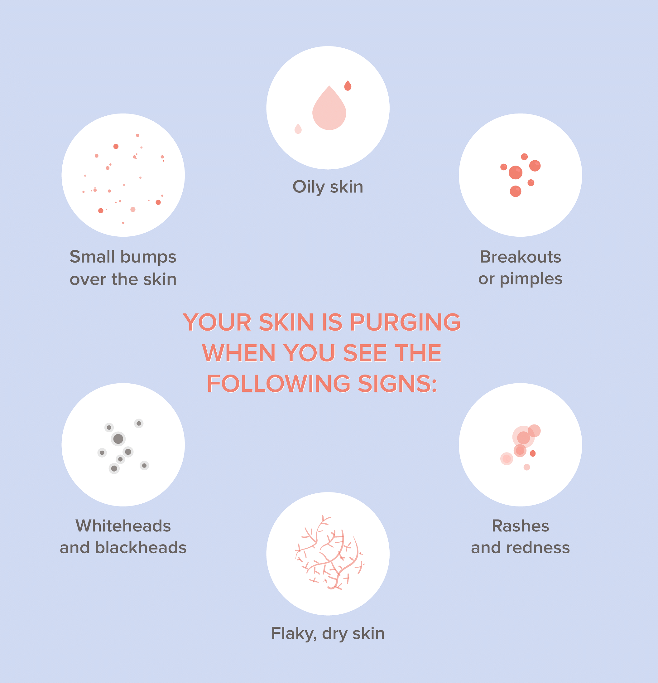 skin purging infograph