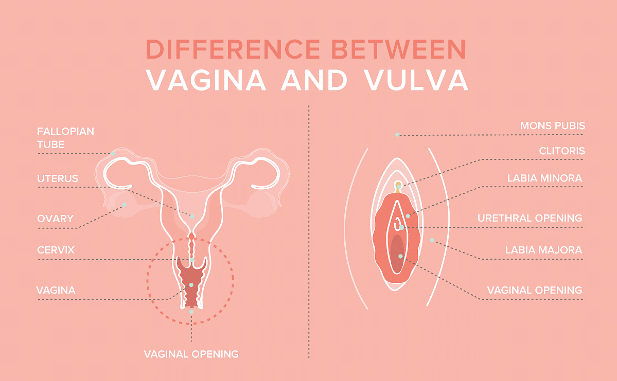 Vulva Sweat: Here's everything you need to know - In Sync Blog by Nua